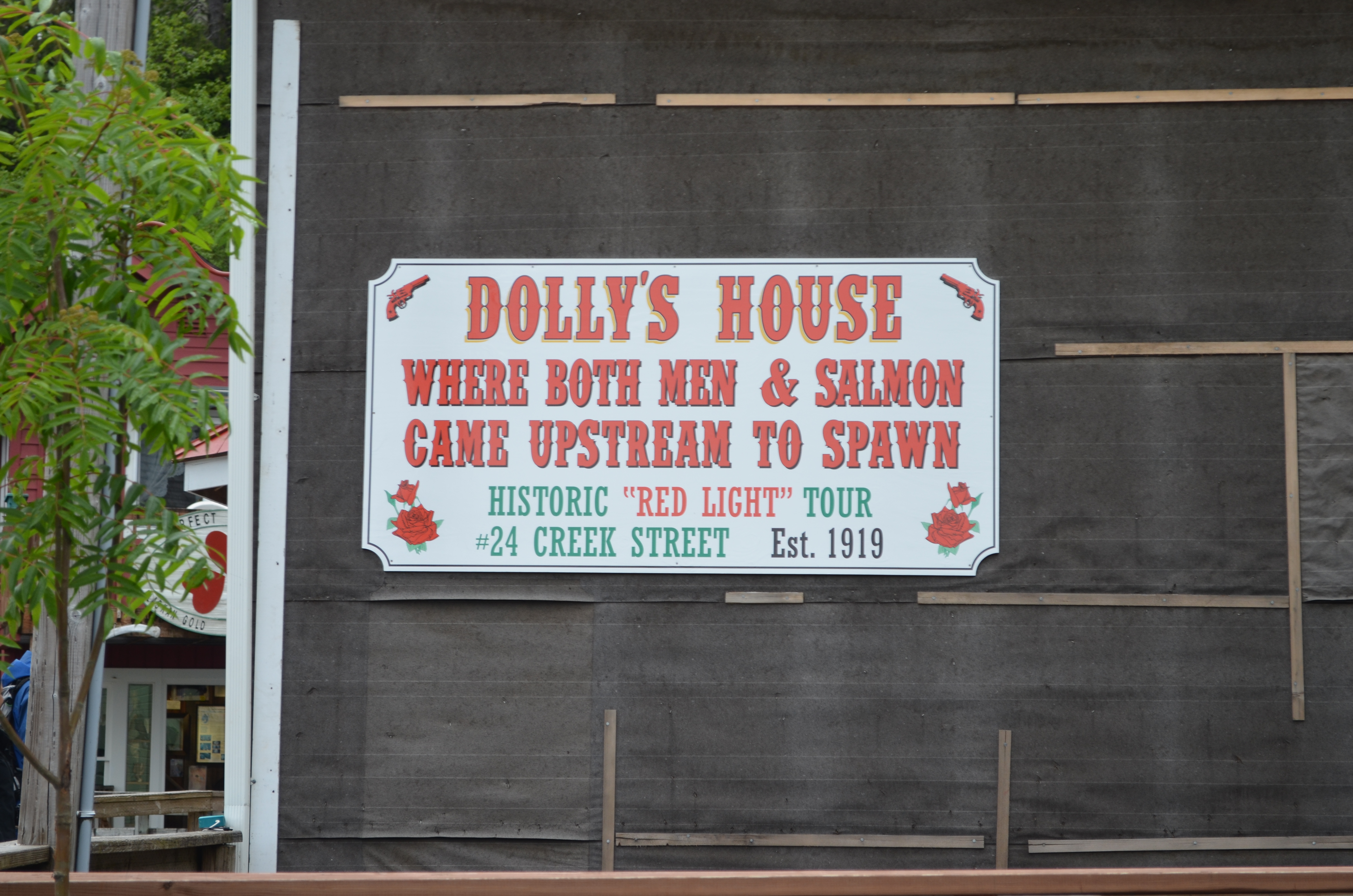 ./2017/08 - Alaska Cruise/11 - Ketchikan/DSC_0456.JPG